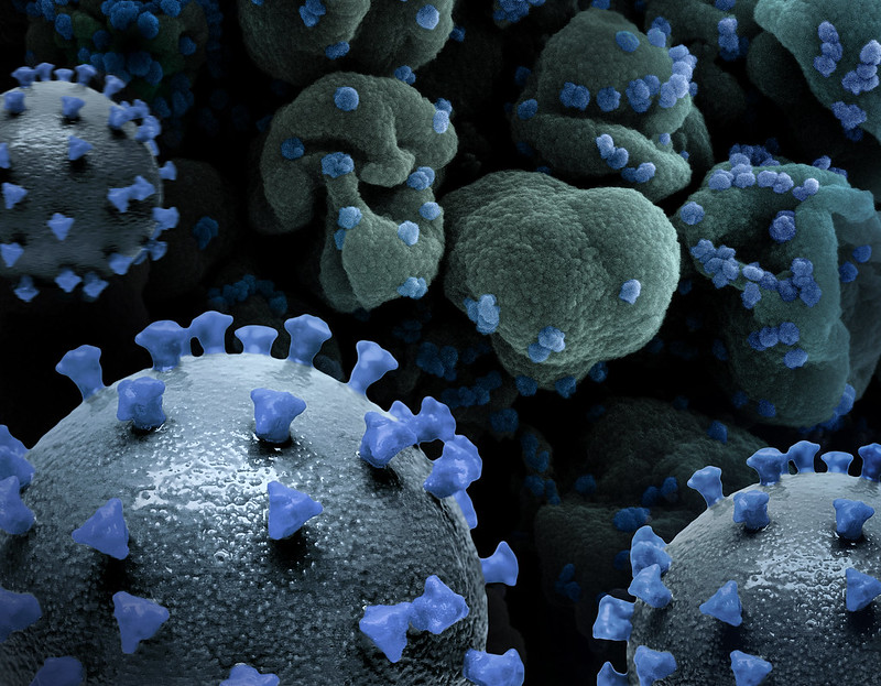 Quick takes: Minnesota measles outbreak hits 40 cases, more polio in 5 ...